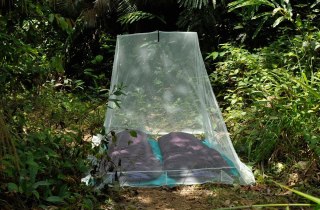 Moskitiera outdoorowa dla dwóch osób Cocoon Outdoor Net Double, silt green