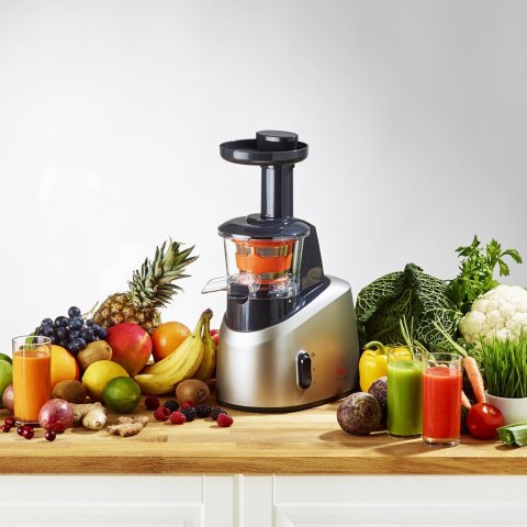 Wyciskarka wolnoobrotowa Tefal ZC255B (200W; kolor srebrny)